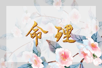 择吉皇历 择吉皇历一万年历 择吉2026皇历